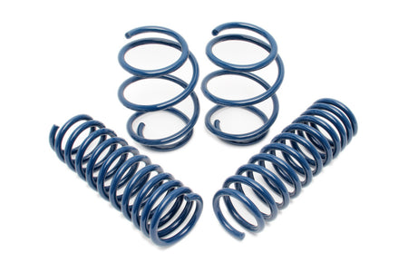 Dinan 06-10 BMW M5 (E60) Performance Spring Set