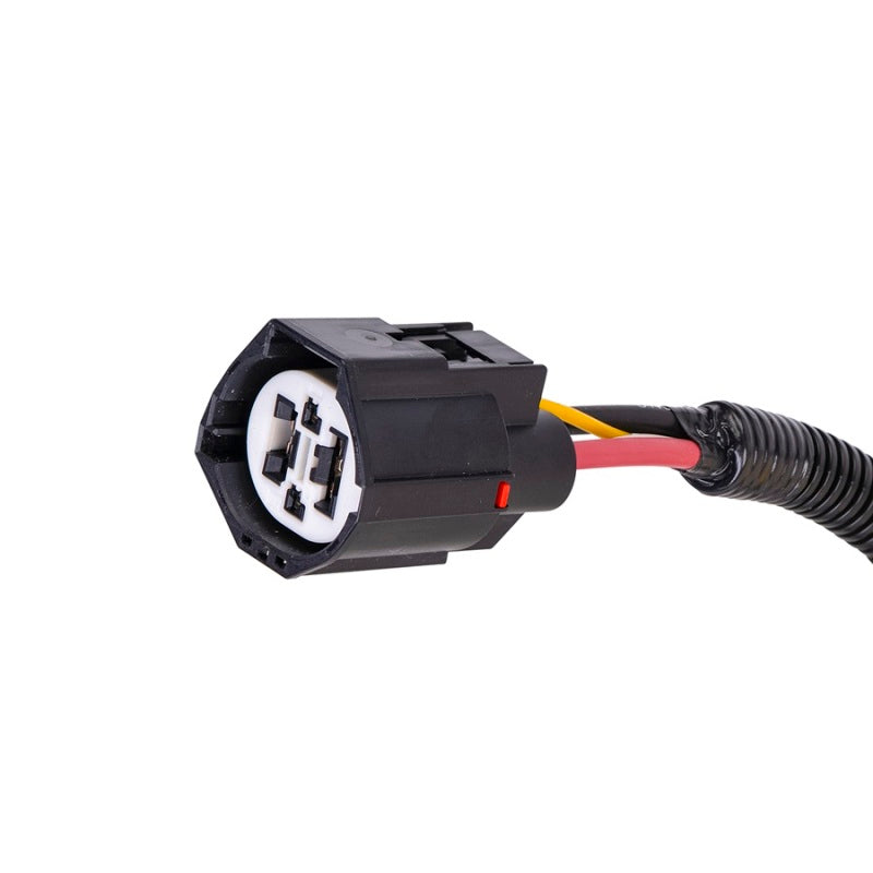 SPAL Harness Adapter for Brushless Fans