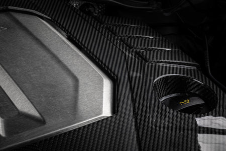 APR 21-26 Audi RS6 Avant/RS7 Sportback EA825 (C8) 4.0T Carbon Fiber Engine Cover