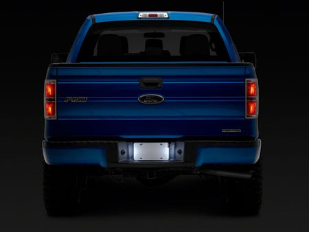 Raxiom 97-14 Ford F150 Axial Series LED License Plate Lamps