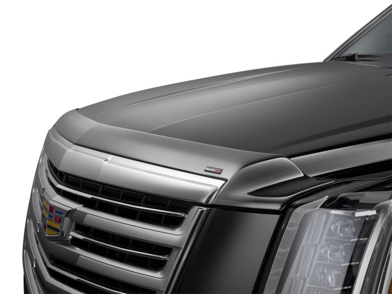 WeatherTech 23-24 KIA Telluride Hood Skin Protector - Black