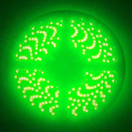 Oracle Side Emitting LED 12in Strip - Green
