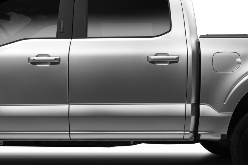 Husky Liners 21-25 Ford F150 Door Edge Guards (4pc Set) - Agate Black