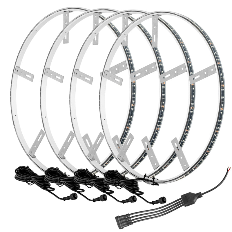 Oracle LED Illuminated Wheel Rings - Aqua