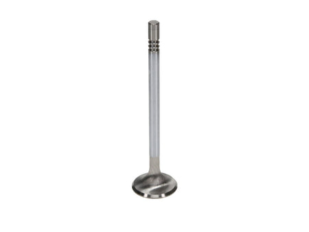 Manley Ford GT350 Voodoo 5.2L Race Master Series Exhaust Valve Set - 1.280in Dia