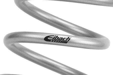 Eibach 24-25 Ineos Grenadier Pro Lift Kit HD Rear Springs - 1000lbs
