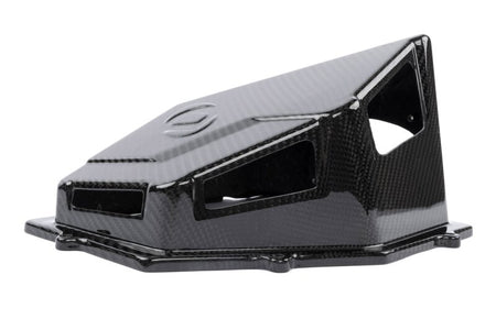 Dinan 16-26 BMW 540i/740i/840i/X5 40i/X6 40i (G05/G06/G12/G15/G16/G32) Carbon Fiber Cold Air Intake